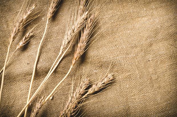 Wheat on natural fabric