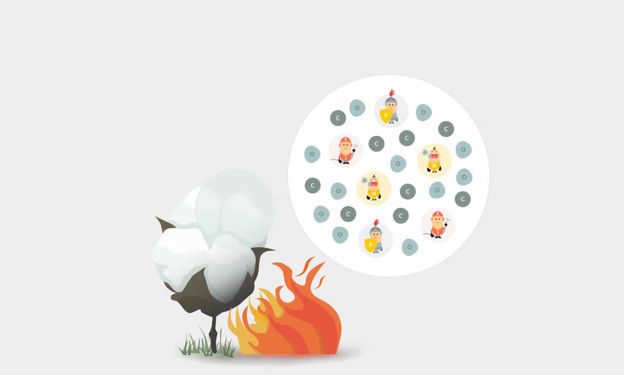 Nature itself raises a barrier against flames