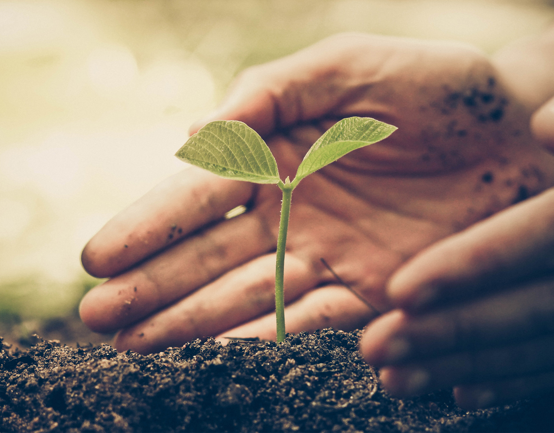 Coex Vision & Values