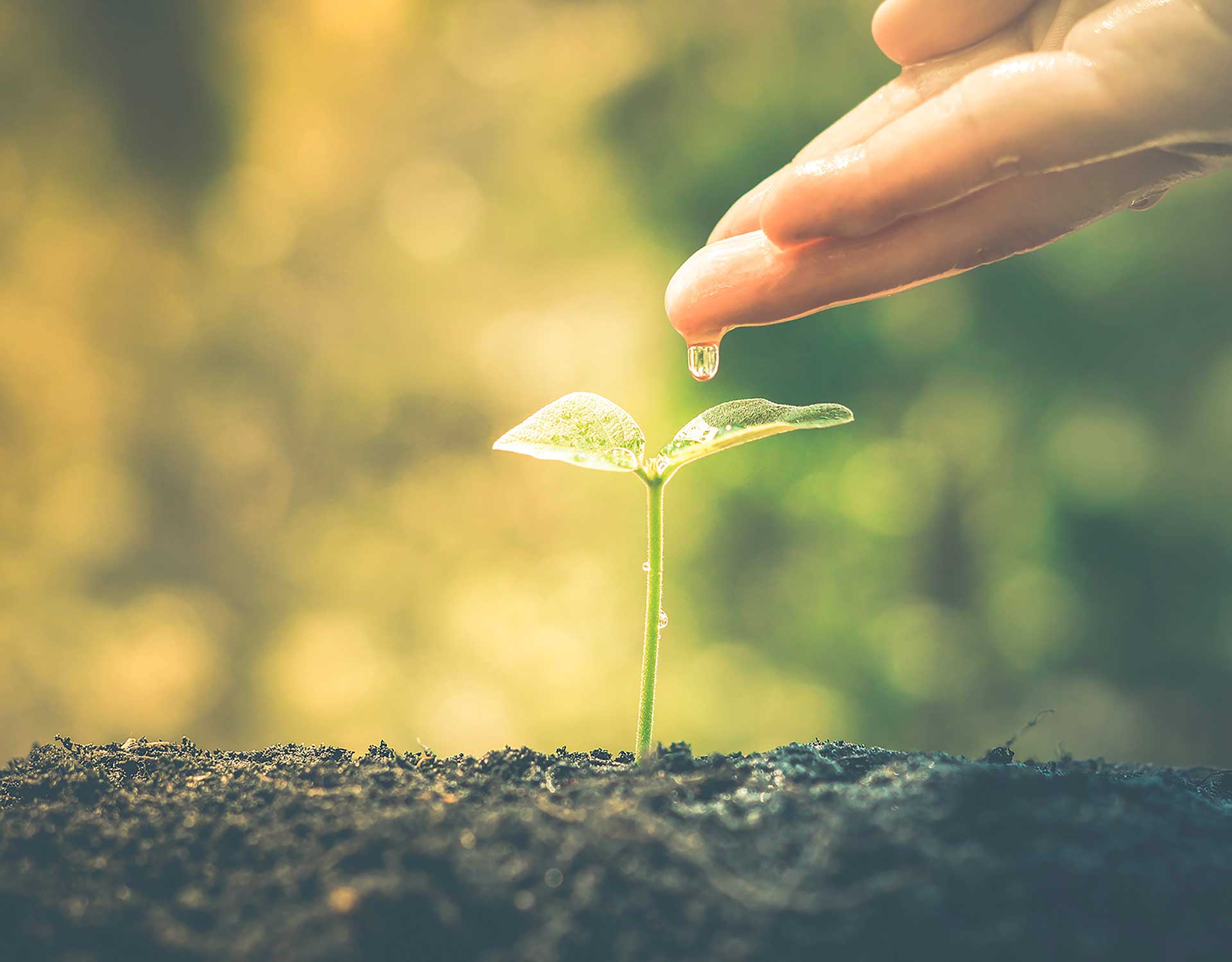 environment-responsibility-coex