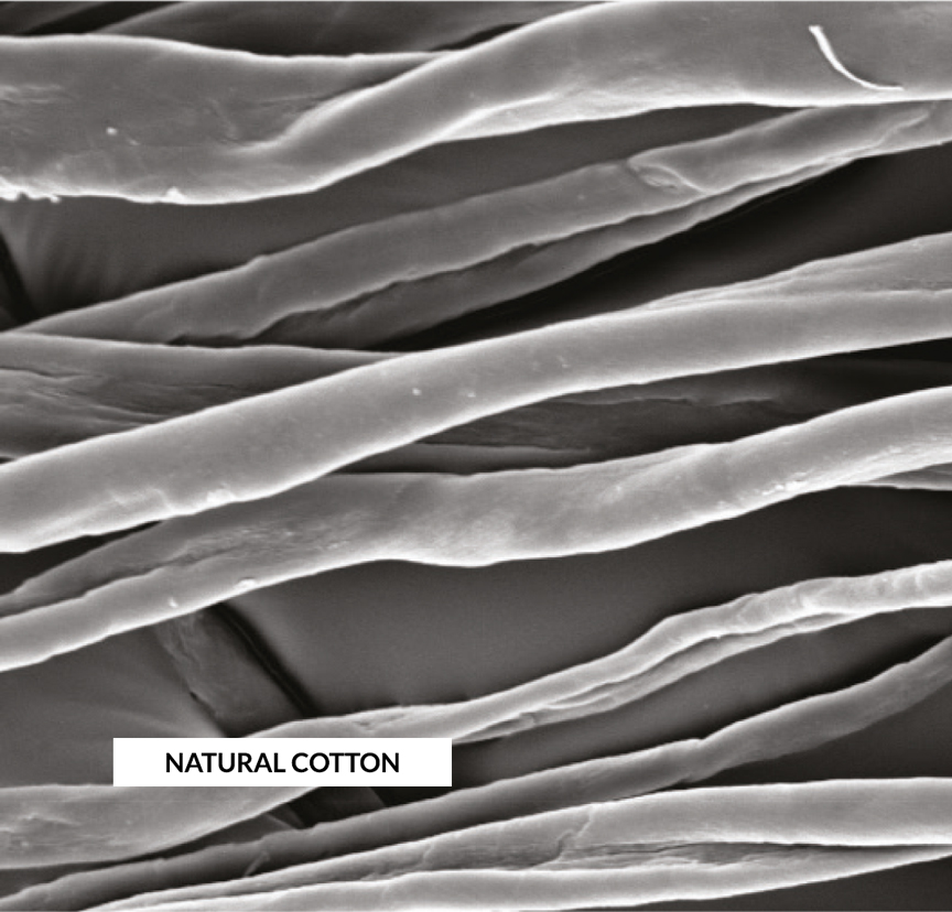 natural-cotton