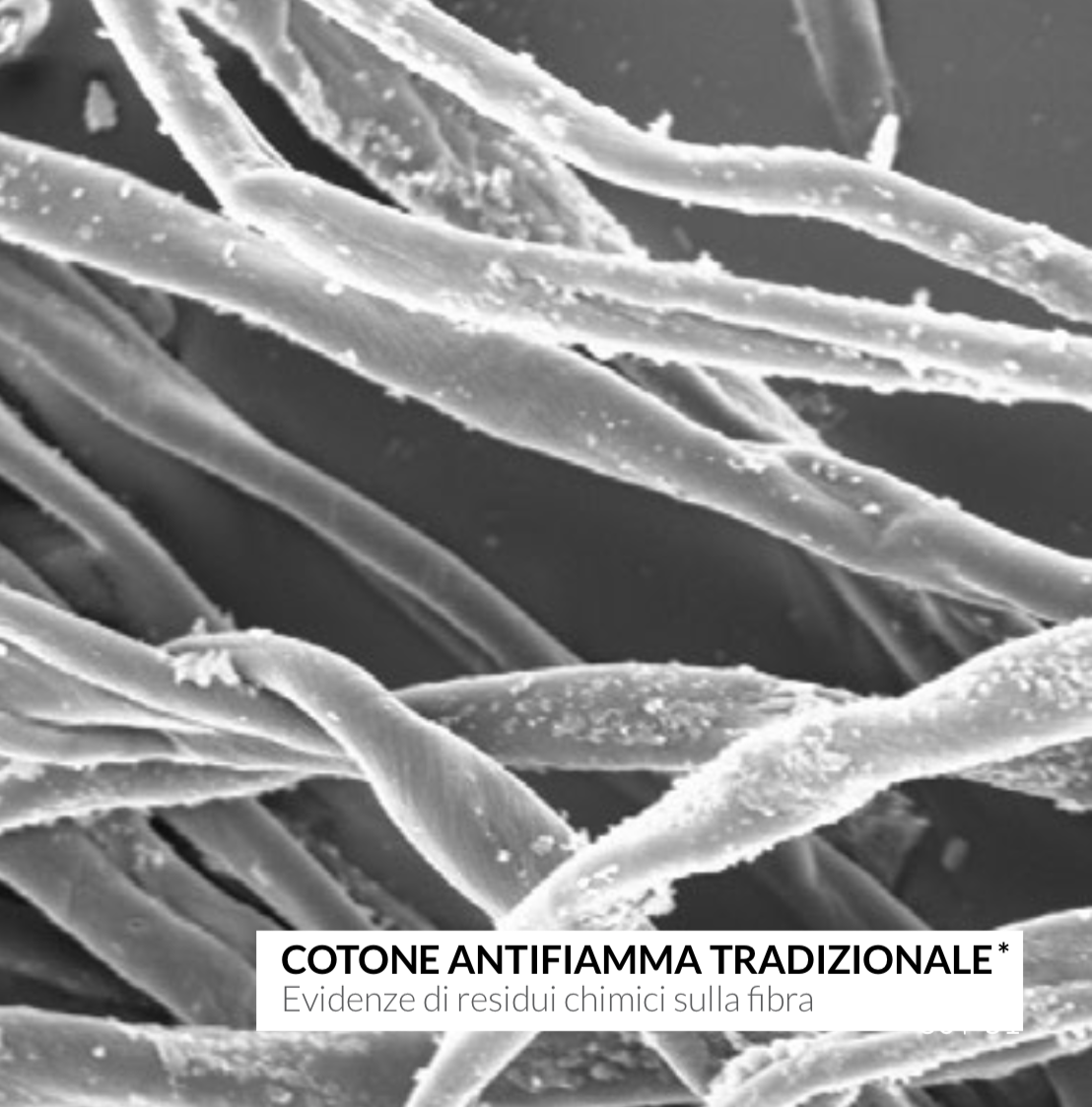 cotone-fr