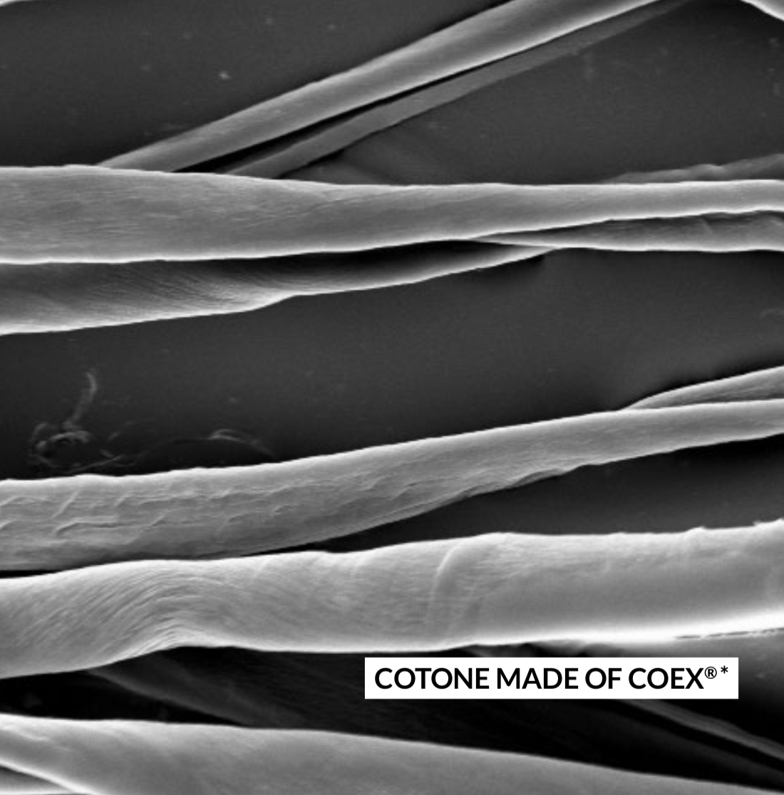 cotone-coex