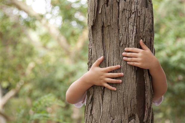 bambino che abbraccia un albero