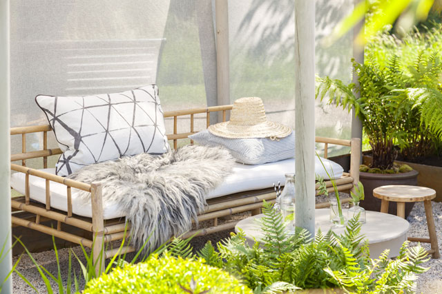 Veranda with plants