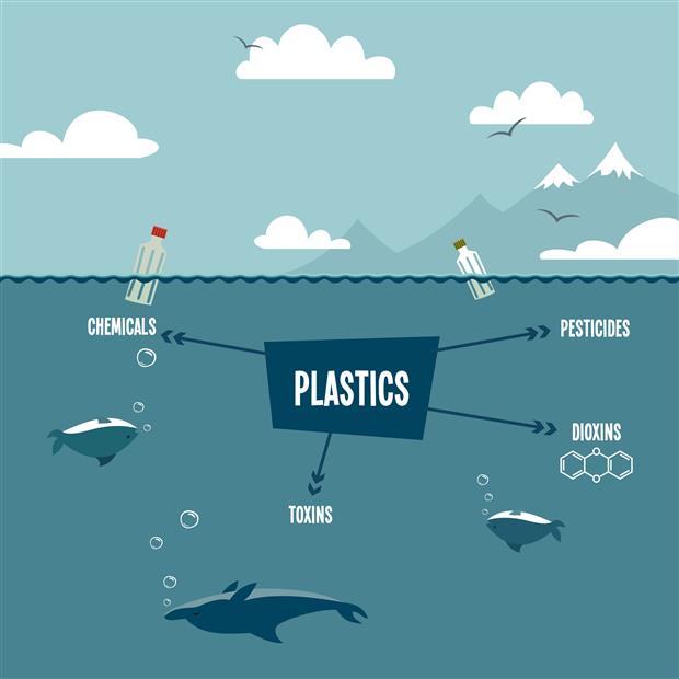 I danni del ciclo vita della plastica secondo il ciel! COEX